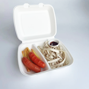 Bagasse 10 inch 2 compartment clamshell box disposable lunch box