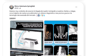 Mesin CT Scan Hewan Khusus Multifungsi, Cocok untuk Hewan Berukuran Besar, Gambar HD - Product Image 4