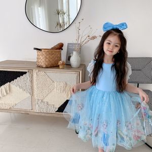 Order Online Cute Frozen Dress Elsa Velvet & Chiffon Material | Alibaba.com