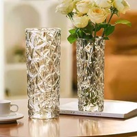 Grand vase en verre épaissi créatif, vase hydroponique minimaliste moderne pour la maison