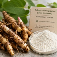 Resvératrol Naturel en Poudre 98% Extrait de Polygonum Cuspidatum (Giant Knotweed) CAS 501-36-0 Poudre d'Extrait de Polygonum Cuspidatum 50% 98% Trans-Resvératrol