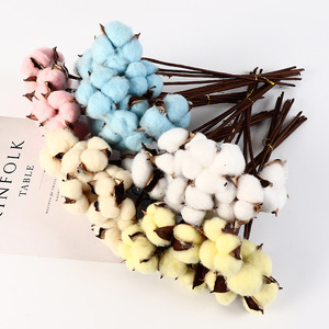 Naturale un ramo di cotone autunno fiori secchi <span class=keywords><strong>decorativi</strong></span> steli di cotone bianco per composizioni floreali - Product Image 5