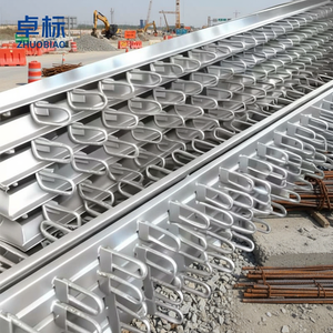 Junta de Expansión para Puentes de Carretera Modelo 160, Aleación Estándar AiSi, Tolerancia del 3%, Soporte Soldado - Product Image 3