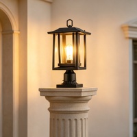 Ampoule LED E26 noire, luminaire suspendu extérieur, IP65, étanche, capteur de lumière, variateur d'intensité, pour la décoration de jardin et de paysage