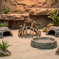 Crânes d'animaux d'aquarium, squelettes, accessoires pour terrarium, décorations pour aquarium, cachette pour reptiles, décoration d'enclos