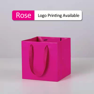 20 * 20厘米加厚艺术纸面包店礼品花方形底纸袋，带丝带手柄 - Product Image 6