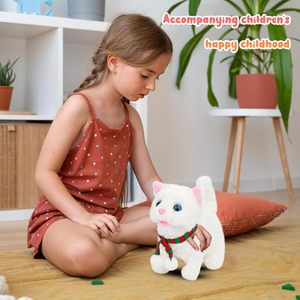 मीइंग पूंछ waging सिर नोडिंग बिल्ली बिल्ली बिल्ली बिल्ली बिल्ली बिल्ली बिल्ली बिल्ली बिल्ली मुर्गा मुर्गा - Product Image 4