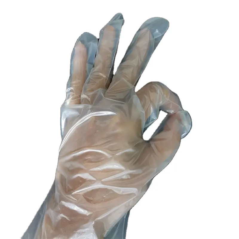 Hom compostable EN13432 Custom wholesale disposable bio degradable plastic transparent gloves