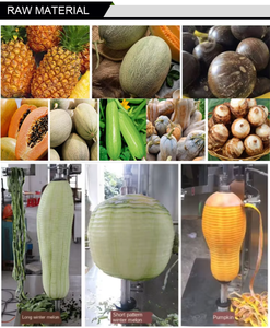 Máquina Peladora de Frutas y Verduras Personalizada, Nueva, con Excelente Precio, Máquina para Pelar Manzanas - Product Image 3