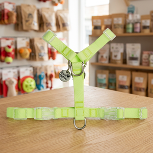 Harnais pour chien en forme de Y, personnalisé, imperméable, de luxe, vert, style simple et tendance, avec des caractéristiques respirantes et réfléchissantes - Product Image 2