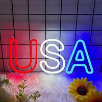 Enseigne néon LED USA, décoration murale, intensité réglable, alimentation CA, couleurs personnalisables, étanche IP65, pour maison, entreprise, bureau, mariage, taxi, voiture