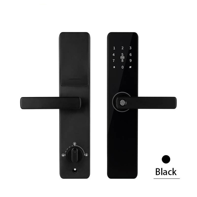 Modern Luxury Keyless Fingerprint Lock for Outdoor Gate Biometric Smart Electronic Lock for Home Zigbee HomeKit WiFi Smart Home