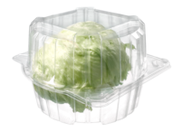 Boîte à emporter jetable en PET transparent bol à légumes salade en plastique chou conteneur pour animaux de compagnie boîte à légumes