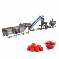 Aardbeienjammachine, kleine jamproductielijn, fruitjammachine, kleine tomatenpuree productielijn