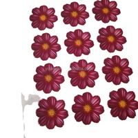 Feuilles de papier comestible personnalisées pour la décoration de sucettes, cupcakes et gâteaux