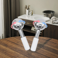 Globe de massage facial chaud et froid en acier inoxydable rotatif à 360 degrés pour le refroidissement et le chauffage du visage