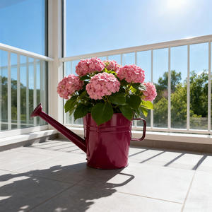 Groothandel Producten 8 Inch Metalen Gieter Plantenbak Met Handvat Voor Binnen/Buiten Plant Decor Voor Tuin Patio Gebruik - Product Image 1