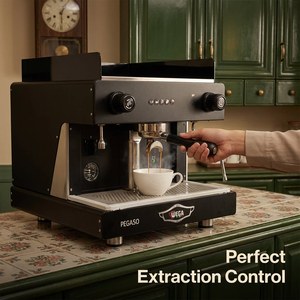 SY-101 Máquina de Espresso Semiautomática Italiana Picasso WEGA Pegaso de 2 Grupos, Caldera Doble E61, 3600W, Taza Alta para Cafetería - Product Image 5