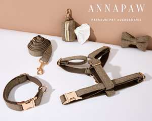 Ensemble collier et harnais pour chiot en velours uni personnalisé avec étiquette de chien personnalisée - Cadeau d'anniversaire - Product Image 6