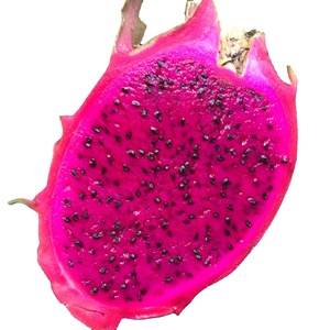 top quality dragon fruit red/white flesh from vietnam