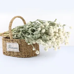 Ramo de Flores Secas Naturales al Por Mayor, Gomphrena, Plantas Secas, Flores Preservadas - Product Image 4