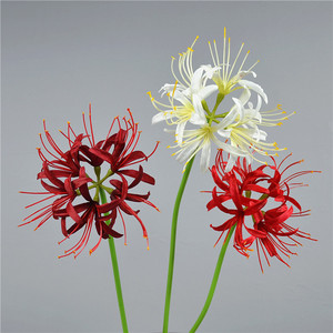 Lirio Araña Artificial Dongchen Crafts, Tallo Único Rojo y Blanco, para Decoración de Bodas, Hogar y Accesorios de Fotografía - Product Image 1
