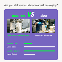 Machine d'emballage rotative automatique pour sachets préformés Doypack de poudre d'ail et de poudre de gingembre