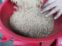 Machine à éplucher le moulin à riz au poivre combiné petite fraiseuse de riz à usage domestique décortiqueuse et polisseuse de riz automatique