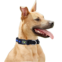 Collier de chien tactique détachable réglable réfléchissant durable robuste rembourré en nylon et polyester pour toutes les races