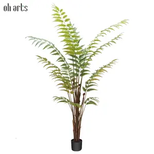 Hot Style Popular Preserved Leather Fern Tree for Wedding and Home Decoration