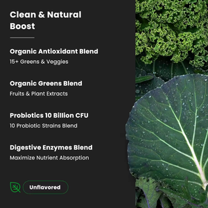 OEM bubuk Super hijau organik rumput suplemen Herbal instan minuman untuk dewasa energi nutrisi antioksidan untuk wanita hamil - Product Image 5