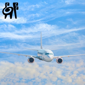 Agente de carga aérea DDP de China a México especializado en categoría de productos de envío aéreo exprés - Product Image 1