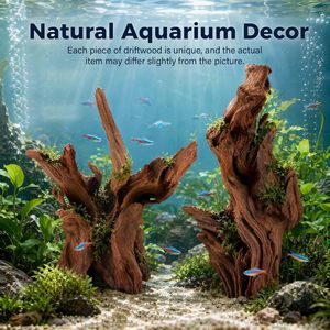 Bois flotté poreux de Cholla PKY de haute qualité, squelette de <span class=keywords><strong>cactus</strong></span> pour l'élevage de crevettes, décoration d'aquarium et biofilm - Product Image 1