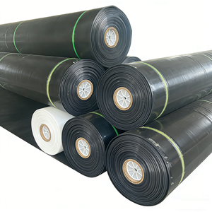 एचडीपे एंटी-लीकेज तालाब चिकनी डबल बनावट वाली झिल्ली बांध लाइनर कृषि बांध मछली झींगा जलीय खेतों के लिए - Product Image 1