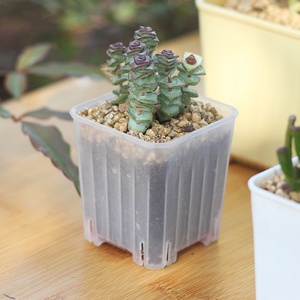 Vaso di fiori succulento in plastica quadrata spessa gialla con Design semplice con rifinitura opaca - Product Image 3