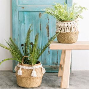 Cesta <span class=keywords><strong>de</strong></span> <span class=keywords><strong>Mimbre</strong></span> <span class=keywords><strong>de</strong></span> Bambú con 6 Secciones, Aislante, Marrón Rústico, 12 Pulgadas, Almacenamiento Tejido, Desechable, <span class=keywords><strong>para</strong></span> Frutas - Product Image 3