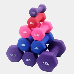 Gym Cast Iron Colored Vinyl Dumbbell