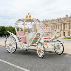 Grandiosa cenerentola carrozza trainata da cavalli regale visite all'aria aperta pratica principessa Buggy - Product Image 1