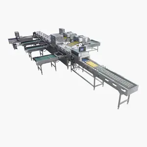 2023 Commercial Small Egg Grading Machine Multifunctional Provided 304 Stainless Steel Warm Water Brushing Air Drying 500 CN HEN