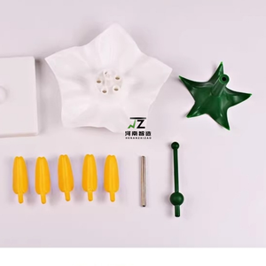 Modèle anatomique pédagogique de fleur de pomme de terre pour usage médical et scolaire - Product Image 5