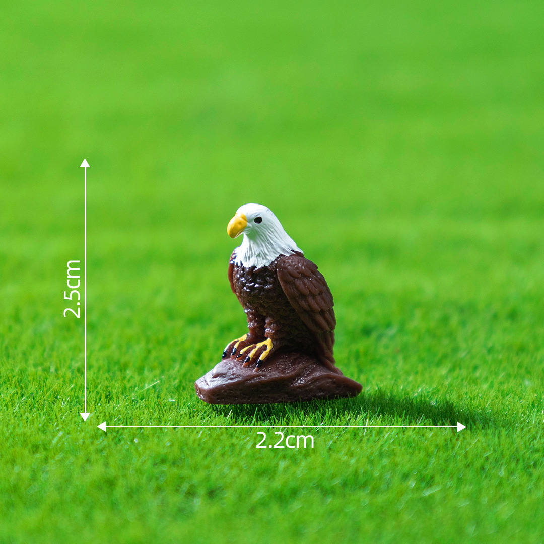 coloré 1.Petit aigle Gu