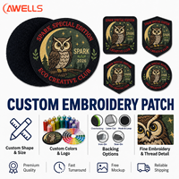 Écussons personnalisés 3D brodés sur mesure pour le club Eco Creative, badges d'identification professionnels à scratch AWELLS