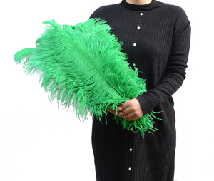 55cm 60cm Floral bricolage artisanat vert citron plume d'autruche Prime Femina pas cher plume d'autruche pour mariage - Product Image 5