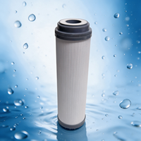 Cartouche filtrante en carbone UDF 10 pouces OEM ODM pour système de purification d'eau RO sous évier, réduction du chlore
