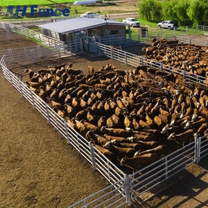 Panneau pour bétail à haute résistance : <span class=keywords><strong>grille</strong></span> et bords renforcés résistent à la flexion, aux coups de pied et à la pression des animaux lourds - Product Image 2