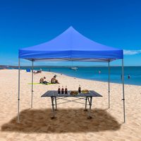 Carpa Plegable Tipo Toldo 3x3 10x10, Carpa para Jardín