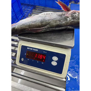 Super Whole Round Pangasius Fish Vida útil 24 meses de Vietnam Frozen Basa Fish Wholesale - Product Image 3
