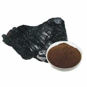 حبوب تعزيز الذكور مكملات الرجل القوي كبسولات استخراج شيلاجيت - Product Image 3