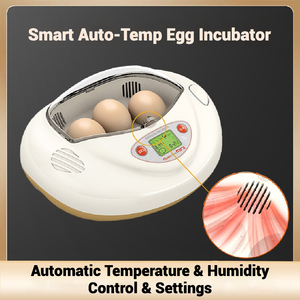 Quality Assurance Artificial Intelligence Incubator with Auto Egg Turning AndStop Function and Observe Large View <b>Window</b> - Product Image 3