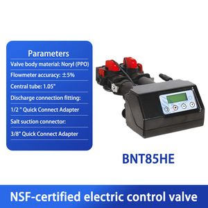 Vanne de filtration et de ramollissement automatique Runxin, unité d'eau multicanal de type temps-courant - Product Image 5
